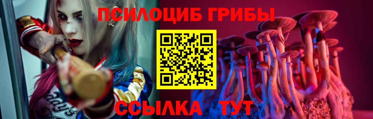 Галлюциногенные грибы мицелий  Вход с VPN  Галлюциногенные грибы MAGIC MUSHROOMS  Карталы 