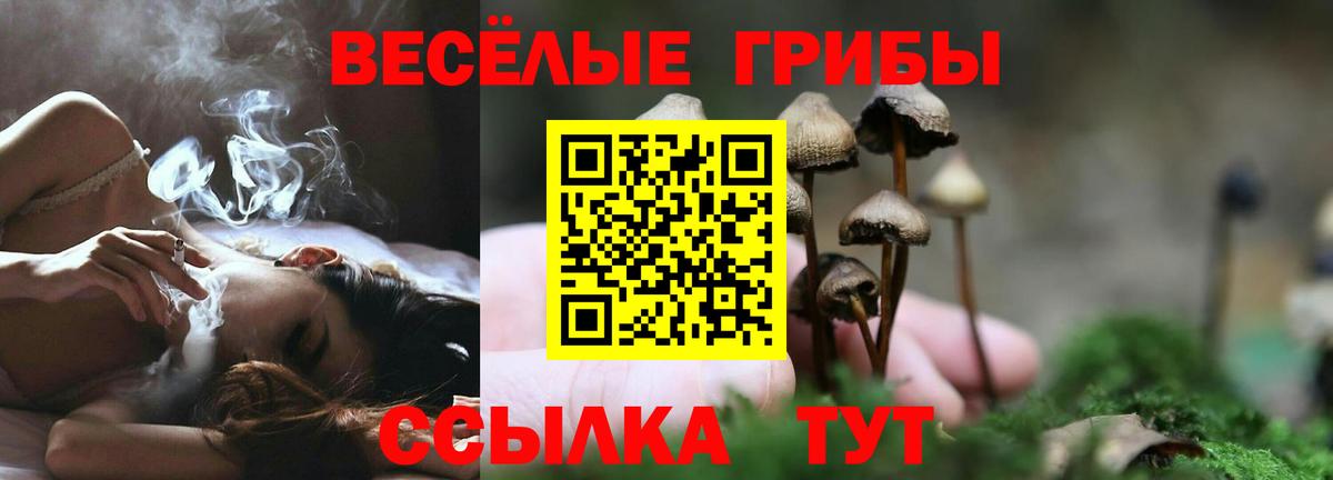 Галлюциногенные грибы ЛСД Карталы